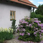 Spitzner Stornstein